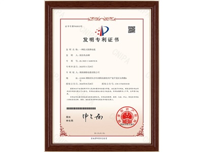 發(fā)明專(zhuān)利（1）
